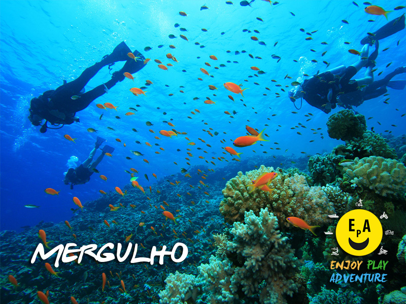 Atividades com Mergulho 